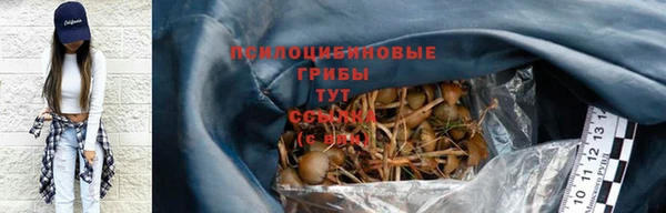 твердый Кулебаки