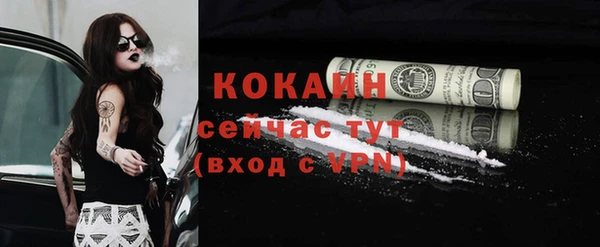 эйфоретик Кукмор