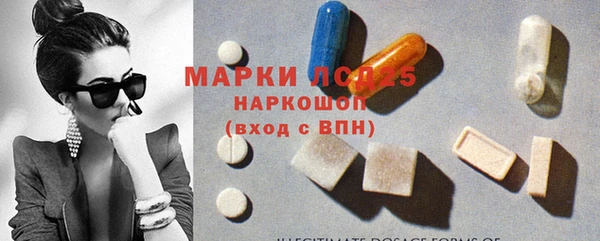 эйфоретик Кукмор