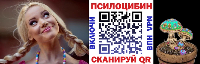 Купить где  Россошь  Псилоцибиновые грибы мухоморы 